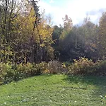 Kurzacka *