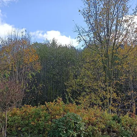 Kurzacka 斯克拉斯卡波伦巴