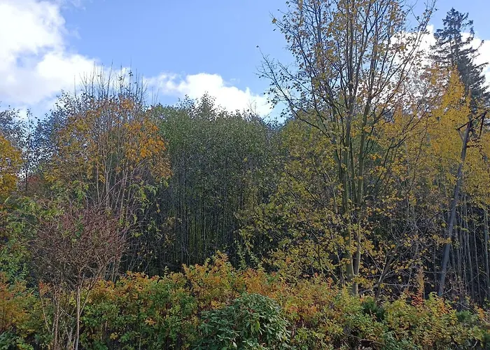 Kurzacka Szklarska Poręba